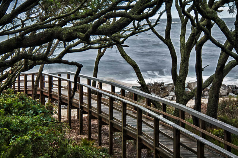 Tree-lined walk to beach
