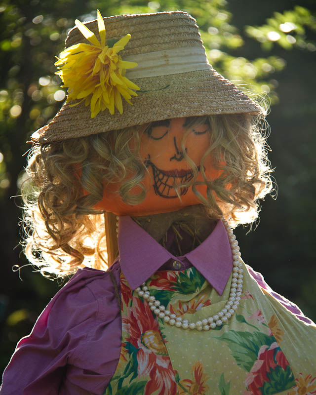 Garden Club Scarecrow - Atlanta Botanical Garden (Halloween)