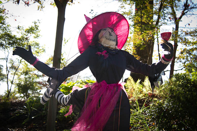 Tipsy Witch Scarecrow - Atlanta Botanical Garden (Halloween)