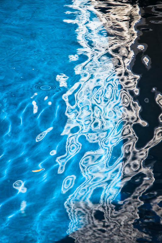 Paisley reflections in reflecting pond | Woodruff Park, Atlanta, GA