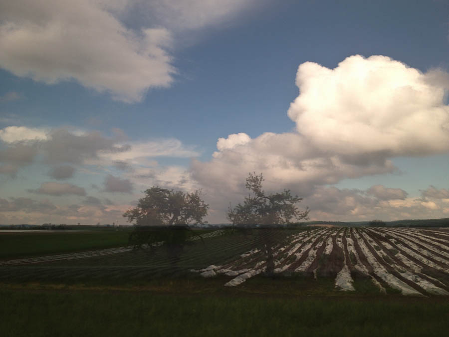 Farms through the window | Amtrak train to Harrisburg, PA
